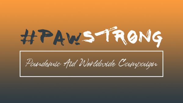 PandemicAssistanceWorldwide_Logo1